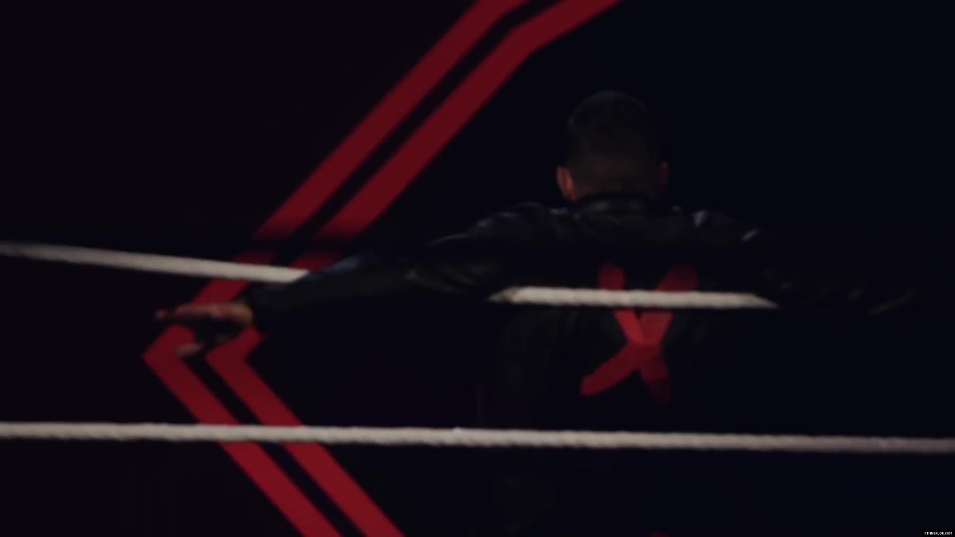 Finn_Balor___The_Rising_of_the_Prince_in_NXT_207.jpg