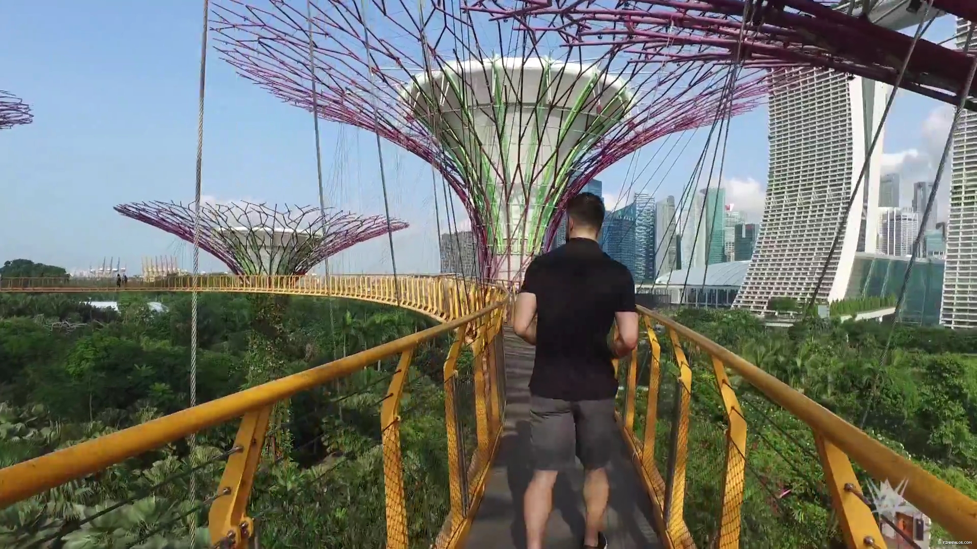 Finn_Balor_feels_like_he_is_in__Star_Wars__while_touring_Singapore_s_Supertree__mp40006.jpg