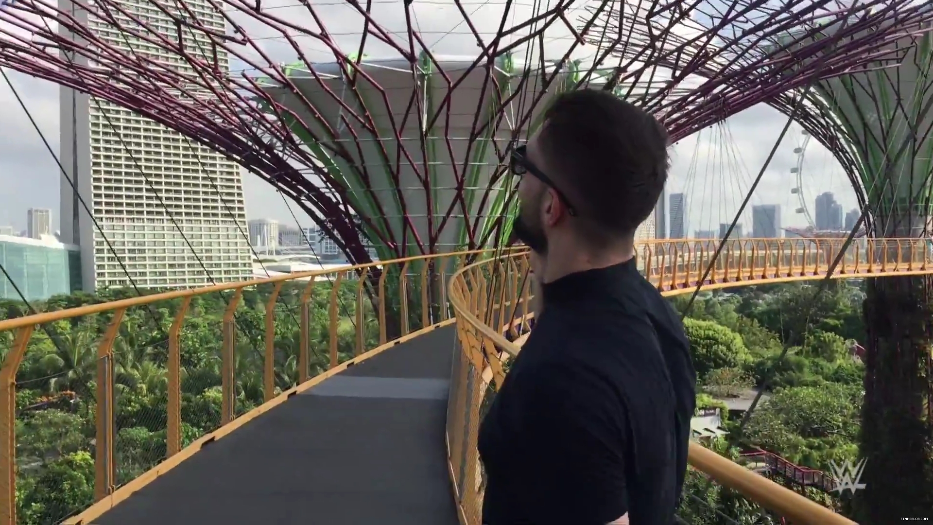 Finn_Balor_feels_like_he_is_in__Star_Wars__while_touring_Singapore_s_Supertree__mp40025.jpg