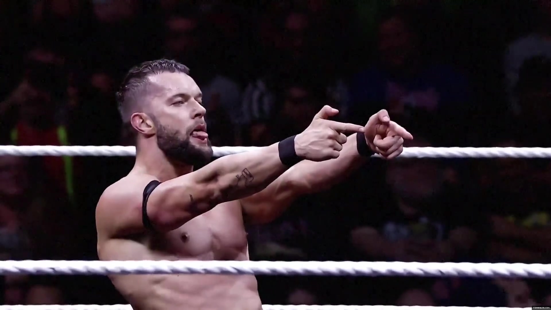 Finn_Balor___The_Rising_of_the_Prince_in_NXT_200.jpg