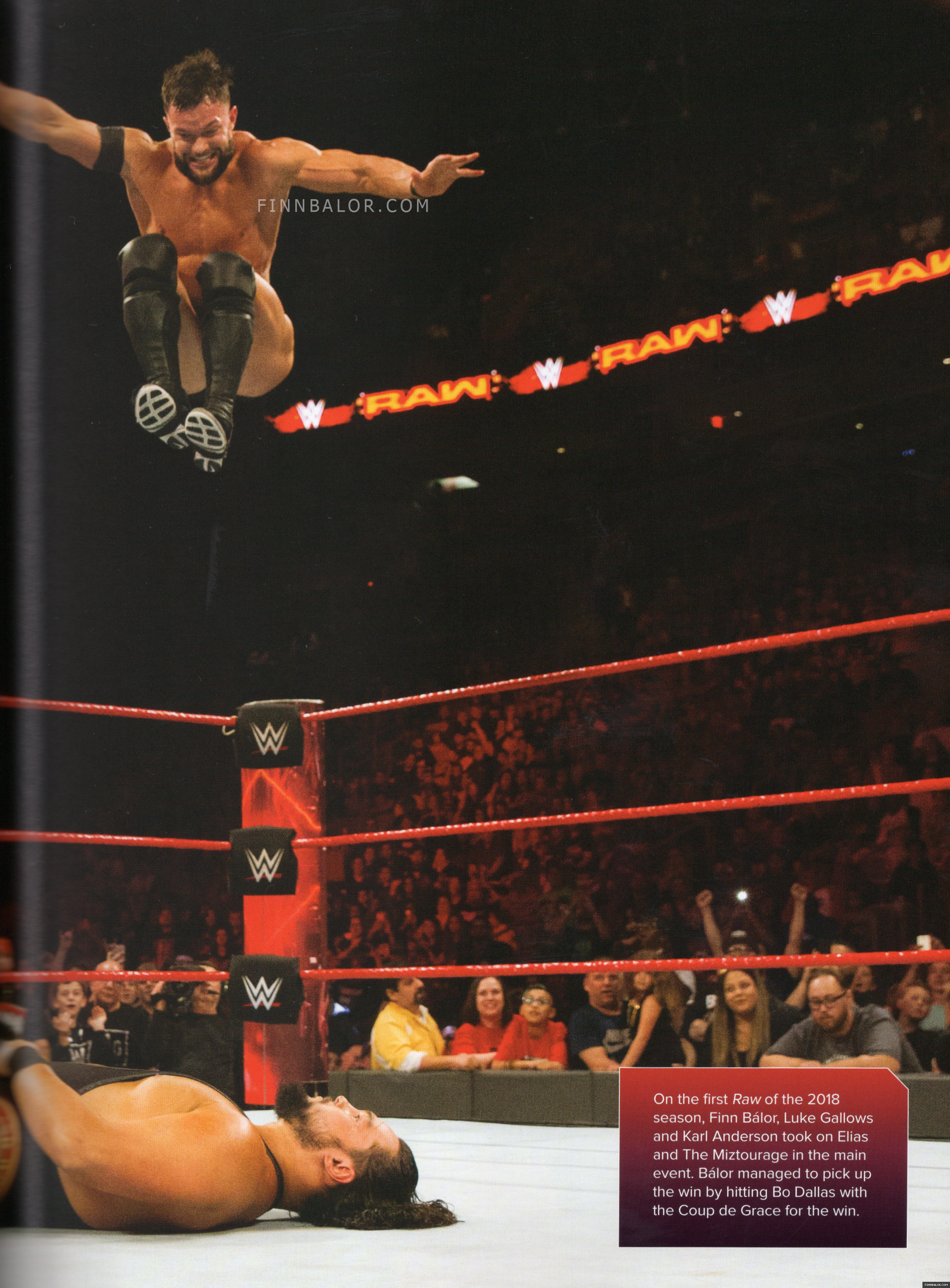 WWE_Superstar_Yearbook_003.jpg